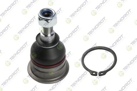 Rotil Alt Sağ-Sol Hyundaı Accent 95-05-Elantra 96-00-Getz 02- -İ20 08- -İ30 11- -Matrıx 01- -Sonata 94-98-Kıa Cerato 04- - Rıo 11- - Pıcanto 04-11- Mıtsubıshı Carısma-Lancer 03-