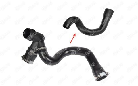 Turbo Hortumu Büyük Hortum Cıtro N C8-Fıat Ulysse-807