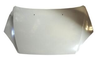 P4M51A16610Al - Ford Focus- Sd/Hb- 05/07; Motor Kaputu Gri Boyalı (İceli/Çekomastikli) (Sımyı)