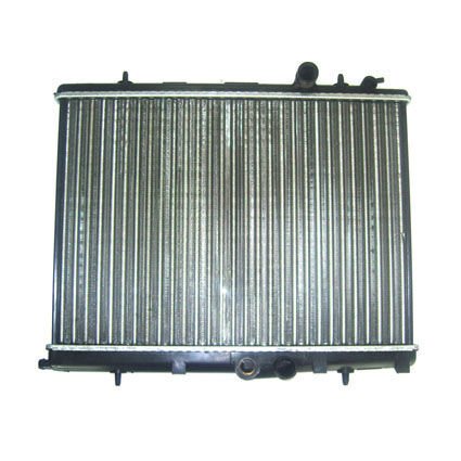 Radyatör Motor P206