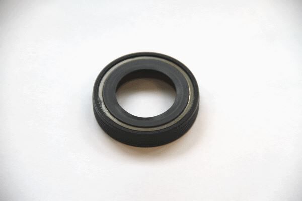Aks Keçesi Sağ Ducato-Boxer-Jumper 15 Jant 32X50X10 20015493B