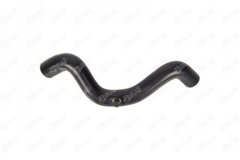 Radyatör Üst Hortumu R19 1.4