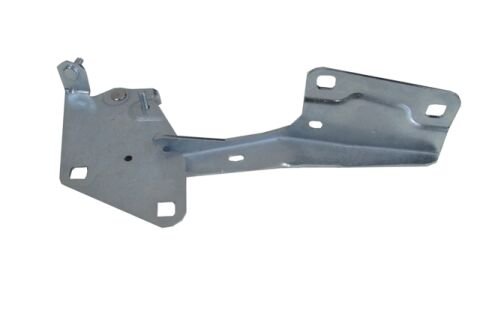 654010016R - Renault Megane- 3- Hb- 10/13; Kaput Menteşesi Sol (Eagle Body)