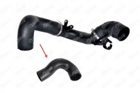 TURBO HORTUM BÜYÜK BOXER III-JUMPER III-DUCATO III 06 2.2 JTD