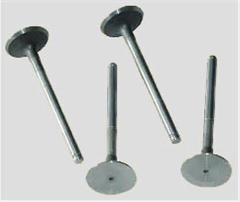 SUBAP EMME EGZOZ KNG-EXP-R19 F8Q-MGN-LGN 1.9 00