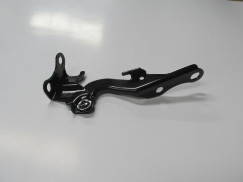 53420-05060 - Toyota Avensıs- 03/09; Kaput Menteşesi Sol (Tw)