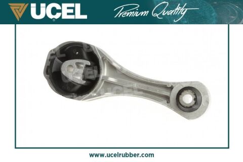 Motor Takozu Arka Kangoo Iıı 08 Tüm Motor Tipleri