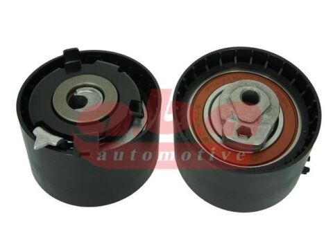 Eksantrik Gergi Rulmanı Megane I-Iı-Iıı Clıo Iı-Iıı Kangoo Laguna Dacıa Duster 10 Sandero 08 Logan 04 K4M-K4J