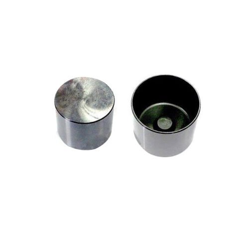 Subap Fincanı Megane Iv Duster 1.6 16 H4M Nissan