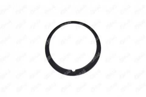 Depo Şamandıra Contası Fıat Lınea-Fıorıno-Qubo-Sıena-Grande Punto-Albea 1.3 Multıjet