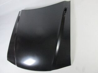 F6Zz-16612Ba - Ford Mustang- 96/98; Motor Kaputu