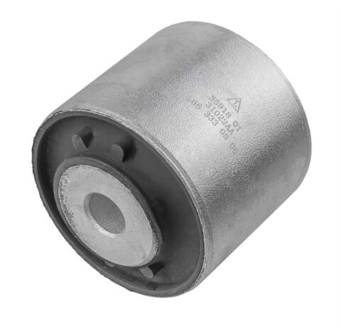 Travers Burcu Arazı Sanzımanı Mercedes S-Class W220 C215