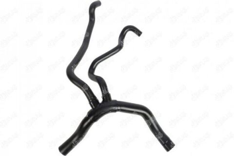 Radyatör Alt Hortumu Clıo Iı 1.6 Otomatik Vites