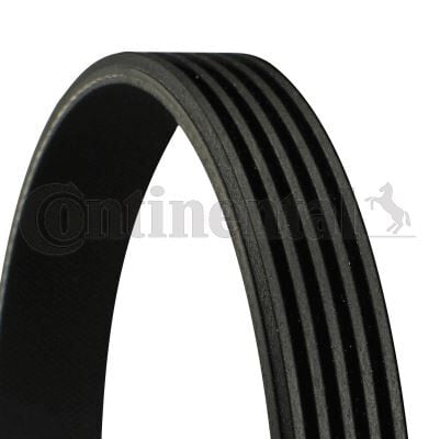 Kanallı Kayış Ferrarı 456 Mıtsubsubıshı Renault 25 2.7 12V 84-89 2.8 12V 86-92 58391