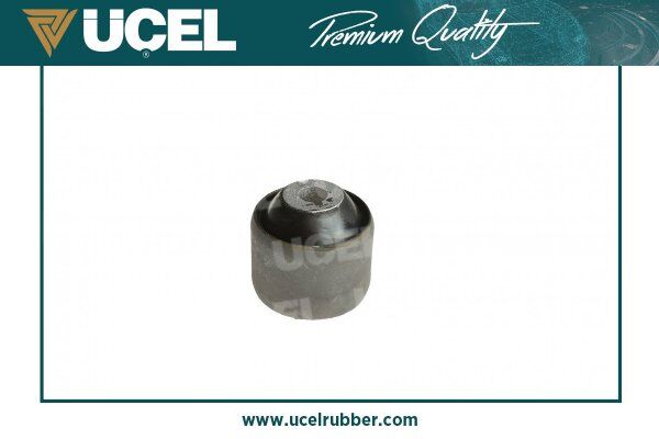 Salıncak Burcu T5 04- Buyuk