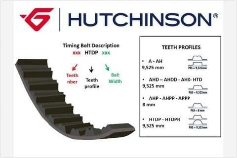 TRİGER KAYIŞI 134x254 134 DİŞ P206-P307 1.6 PARTNER 1.6 00 CT1065