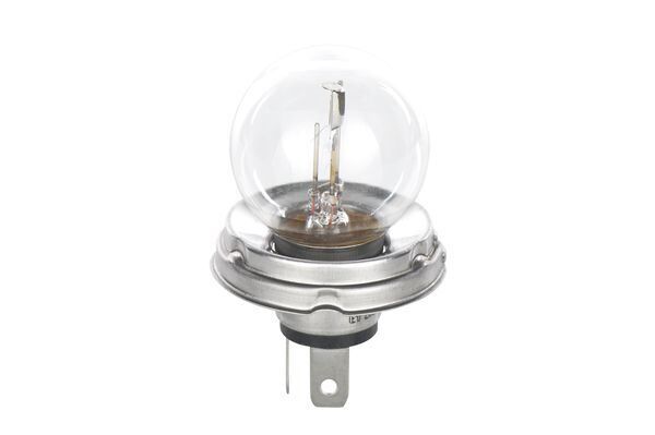 Ampul Pure Light 12V R2 45/40W P45T