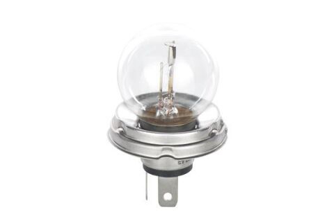 Ampul Pure Light 12V R2 45/40W P45T