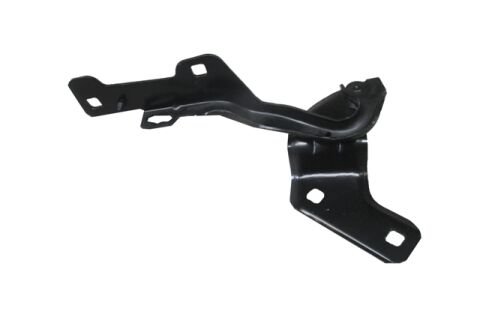 8200719034 - Renault Clıo- 3- Hb- 06/09; Kaput Menteşesi Sağ (Tyg)