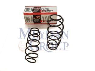 Cıtroen C3- 03/09; Ön Helezon Yayı Sağ/sol (2li Set) 1.4hdı 16v (11,25x143x469)(stdr) - 5002CH