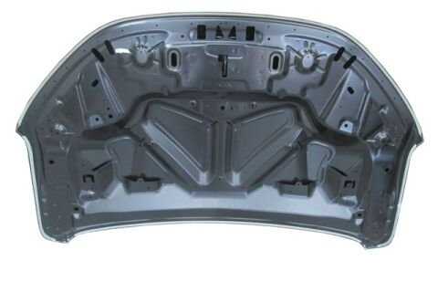 651004113R - DACIA SANDERO STEPWAY- 21/24; MOTOR KAPUTU (İCELİ/ÇEKOMASTİKLİ) (EAGLE BODY)