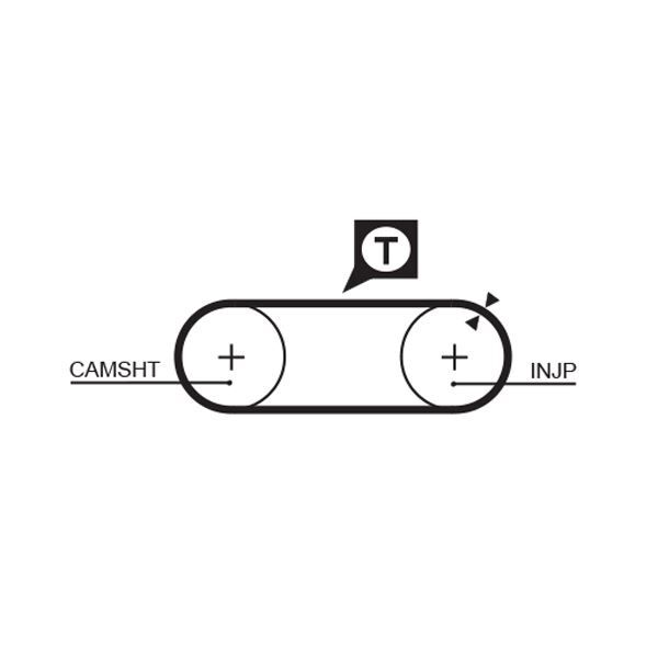 TRİGER KAYIŞI 077x210 TRANSPORTER. 1.9-2.4 CT645