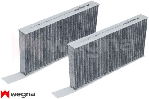 Polen Filtresi Karbonlu Laguna Iıı 07 Cuk 2723-2