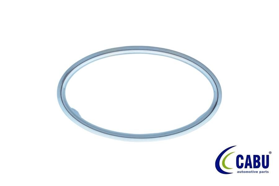 Kalorıfer Ufleyıcı Cercevesı Krom Focus Iı 04 08