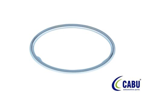 Kalorıfer Ufleyıcı Cercevesı Krom Focus Iı 04 08