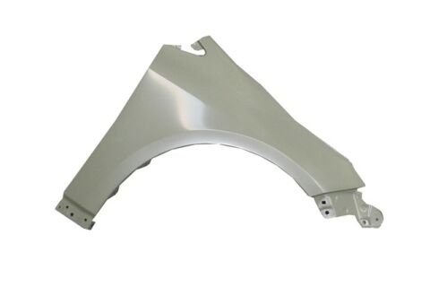 53801-02210 - Toyota Corolla- Hb- 20/22; Ön Çamurluk Deliksiz Sağ Gri Boyalı (Sımyı)