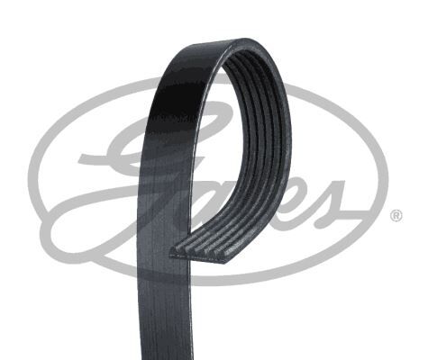 KANALLI V KAYISI 6PK986 BMW F20 11 16 F30 12 16 FIAT PALIO 96 01 BRAVA 95 01 PUNTO 94 99 HONDA CIVIC 01 05 FR-V 04