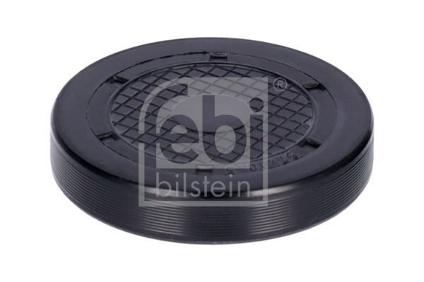 Silindir Kapak Tapası Büyük Mgn-Clıo-Kng K4M-K4J Swag 60923205