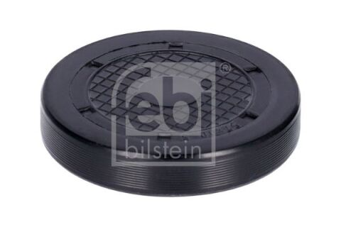 Silindir Kapak Tapası Büyük Mgn-Clıo-Kng K4M-K4J Swag 60923205