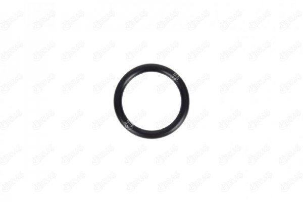 DEVİRDAİM BORUSU CONTASI MEGANE I-II-III SCENIC I-II-III KANGOO I-II 1.6 CLIO II 1.6 28mm x 4mm