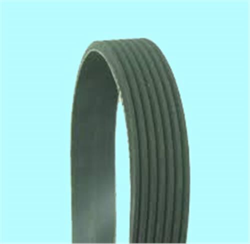 Kanallı Kayış Renault Scenıc Megane 1.9Dcı 2.0 16V 02 117201Kt0A