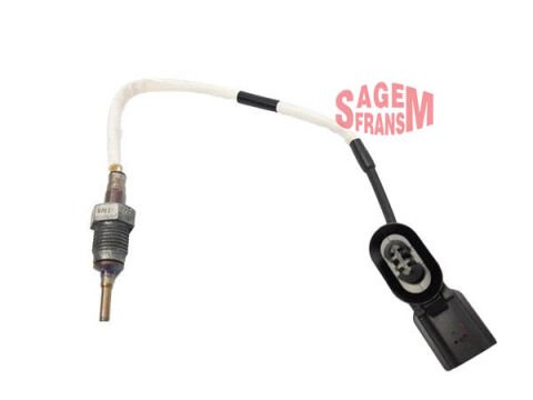 EGZOZ GAZI SICAKLIK SENSÖRÜ RENAULT MASTER III 10 165 BG ÇİFT TURBO