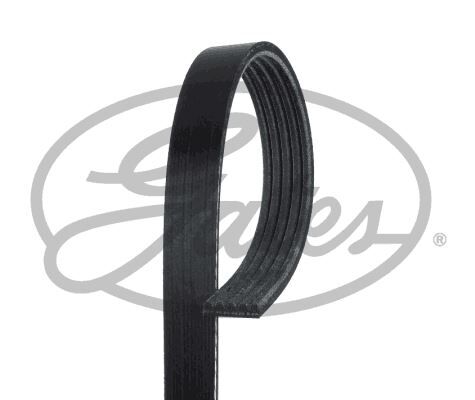 KANALLI KAYIŞ FOCUS CMAX 1.6-1.6 Tİ 03-07 -CMAX 1.6 07 FOCUS 1.4-1.6-1.6 Tİ 04