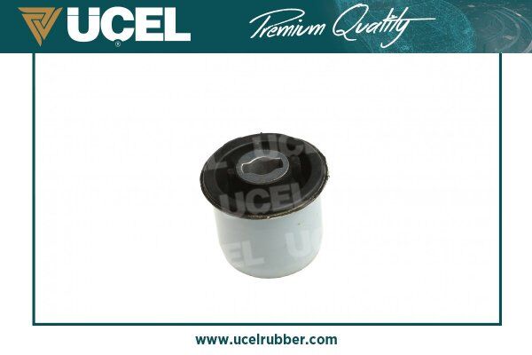 Torsiyon Burcu Arka Cıtroen C4 Lc -1.4 16V-1.6 16V-1.6 16V Bio-Flex-2.0 16V-1.6 Hdı-2.0 Hdı