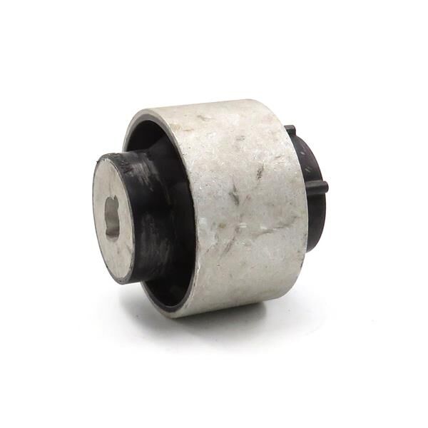 Salıncak Burcu Focus Iv