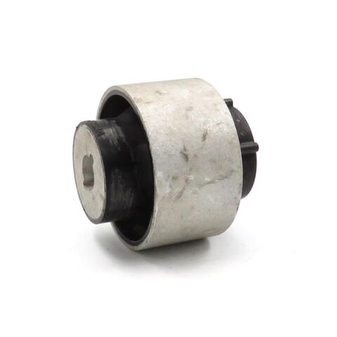 Salıncak Burcu Focus Iv