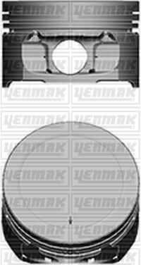 Motor Piston Segman Std P106-P206-P306-P307-P308-Partner-Berlıngo-C2-C3-C4-Xsara Tu5Jp4 1.6 16V Tepe Yük 0.15 Mm 109 Kw
