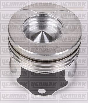 Motor Piston Segman Std 25Pim Clıo-Kng-Symbol 1.5 Dcı