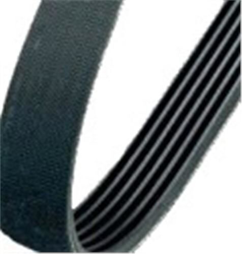 KANALLI KAYIŞ BERLINGO 1.1 1.4 8V 96-02 1.6 16V 00-02 ALFA ROMEO- FORD- MAZDA- NISSAN-TOYOTA 58