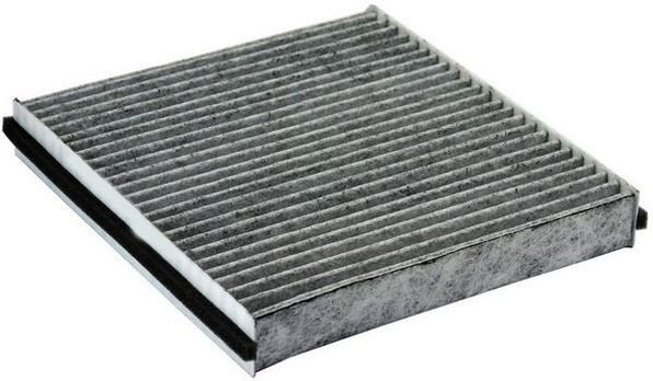 POLEN FİLTRESİ LGN II 1.6-1.8-2.0 01 1.9 DCI 01 KARBONLU