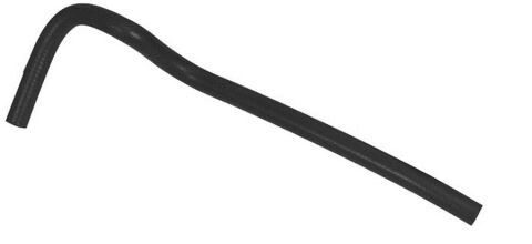 Termostat Genleşme Bağlantı Tankı Hortumu Megane I