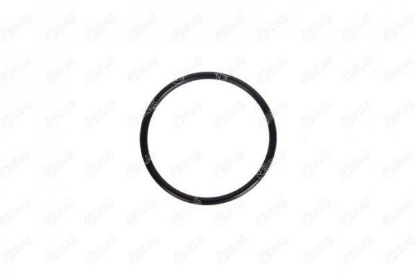 GAZ KELEBEĞİ CONTASI DACIA DUSTER 1.6 16V 4x4