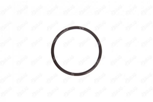 Turbo Borusu Contası Alfa Romeo Gıulıa 2.2 D