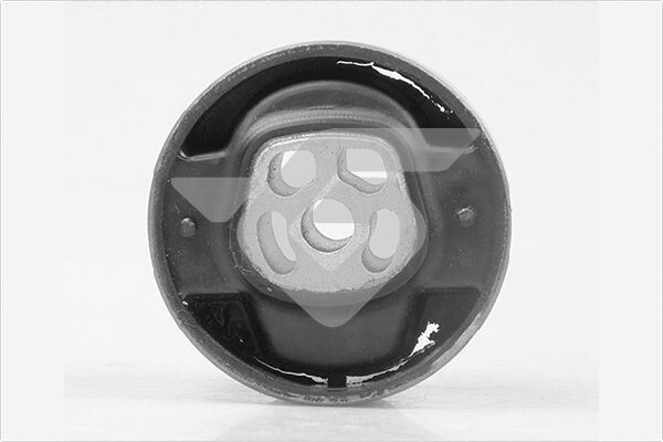 Motor Takoz Burcu P206-P307-P308-P406-P407-Exp-Berlıngo I-C4 I-C5 Iı-Jumpy Iı-Xsara Pıcasso-Scudo Iı 1.4-1.6-2.0 Hdı-Thp-Vtı