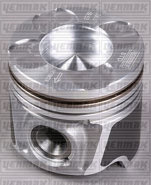 Motor Piston Segman Std Palıo-Albea-Doblo 1.3 Mtj-Combo-Corsa-Merıva-Tıgra 1.3 Cdtı 69.60