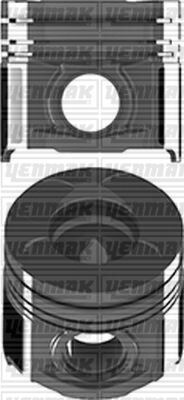 Motor Piston Segman Std Astra H 04-14 -Vectra C 02-08 -Zafıra B 05-15 -Sıgnum 03-08 Z19Dth 82.00